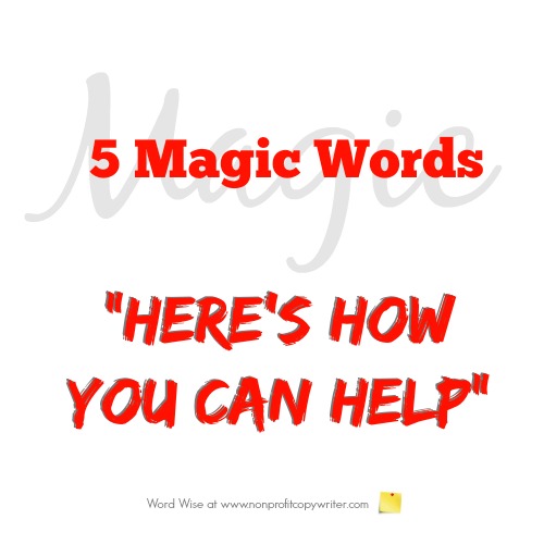 5 magic words: "Here's how you can help" with Word Wise at Nonprofit Copywriter