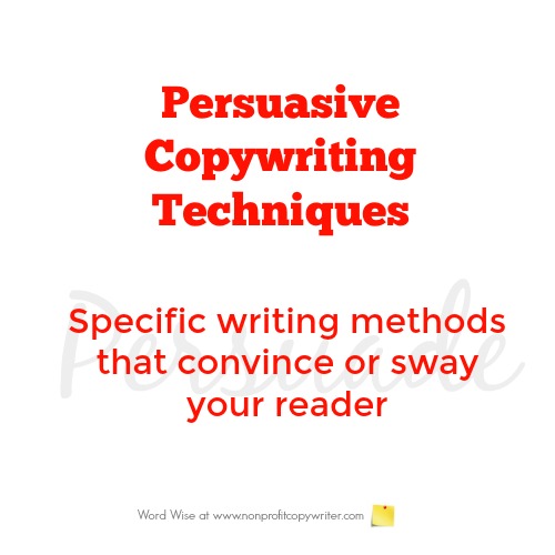 Persuasive Copywriting Techniques with Word Wise at Nonprofit Copywriter