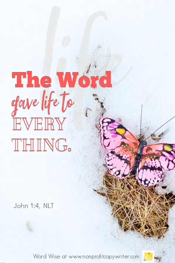 The Opening Paragraph: a #devotional based on John 1:4 with Word Wise at Nonprofit Copywriter #WritingTips #WritingArticles #Blogging