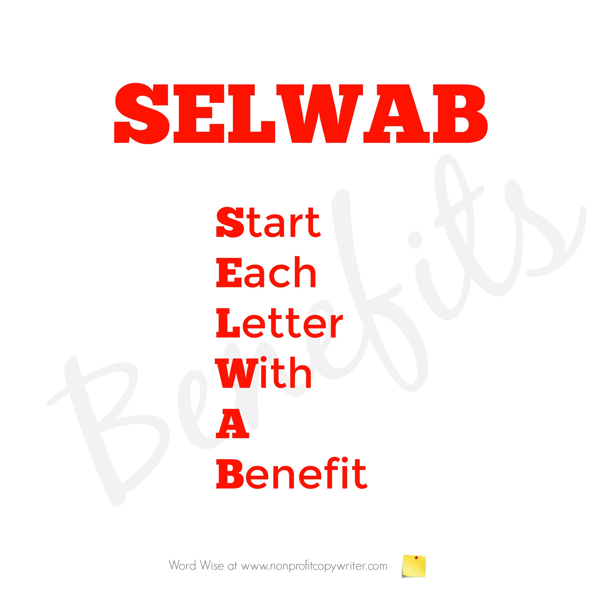 The SELWAB Formula with Word Wise at Nonprofit Copywriter