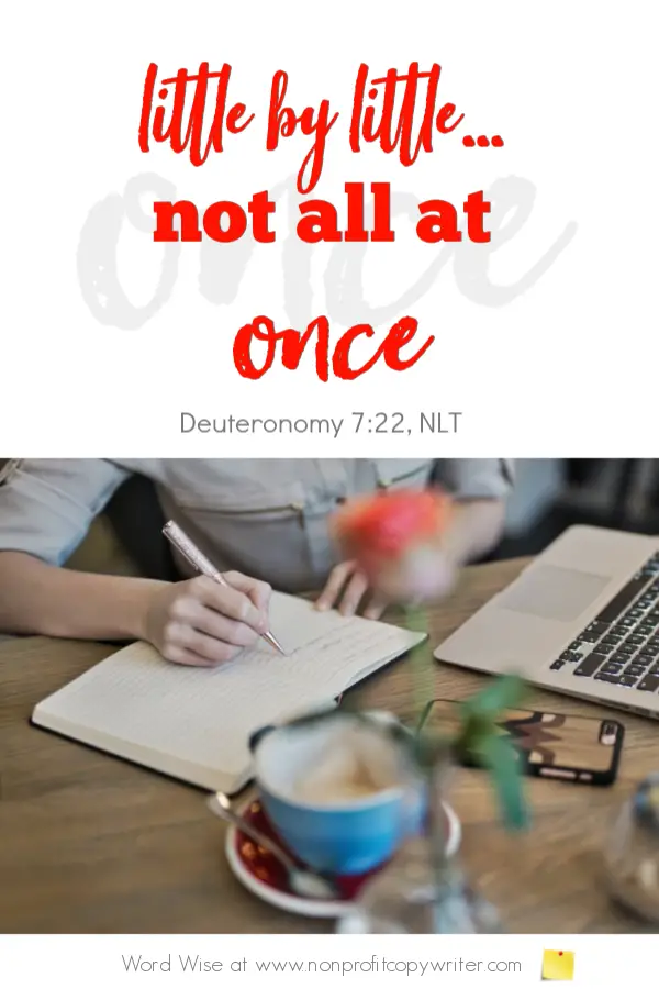 The Writing Skill: acquire one at a time. A #devotional for writers based on Deut 7:22 with Word Wise at Nonprofit Copywriter #FreelanceWriting #NewbieCopywriting #ChristianWriting