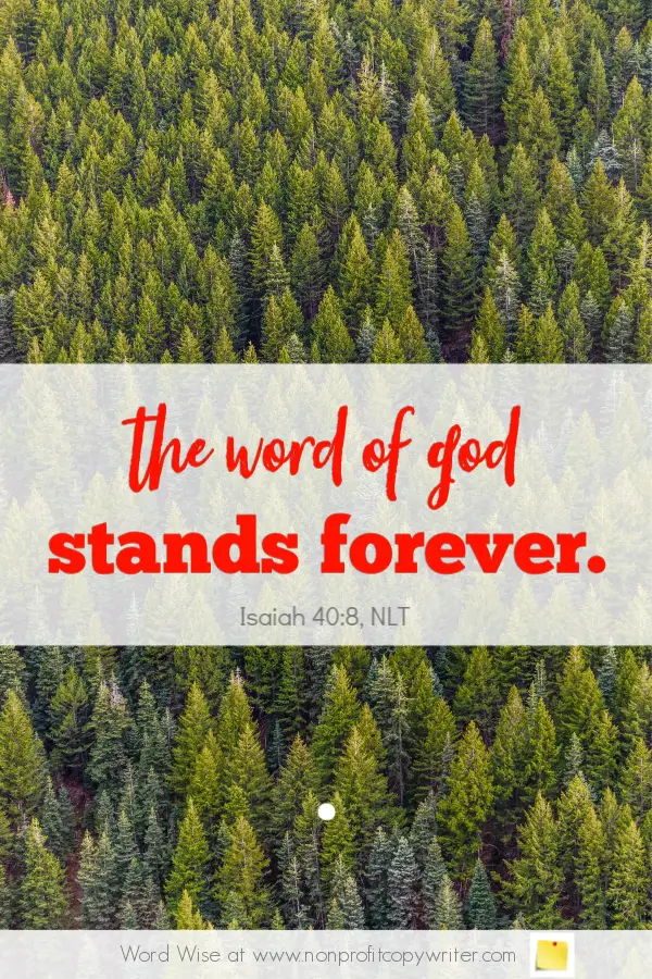 The Evergreen Post: a #devotional for writers based on Isaiah 30:8 #blogging #ChristianWriting