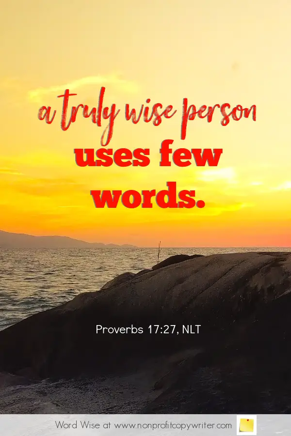 The Delete Key: a #devotional for writers based on Prov 17:27 with Word Wise at Nonprofit Copywriter #WritingTips #writing