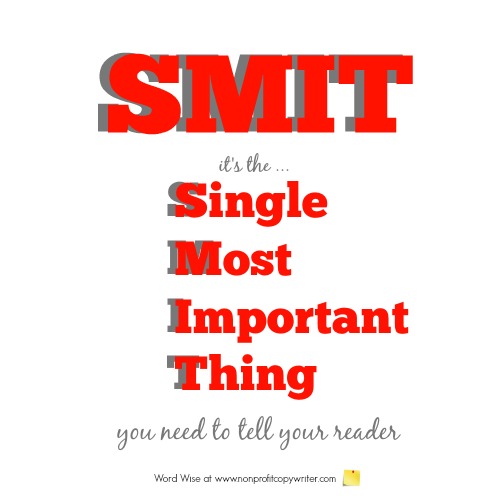 SMIT: the Single Most Important Thing you need to tell your reader with Word Wise at Nonprofit Copywriter